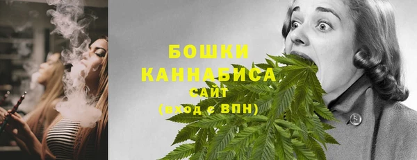 Альфа ПВП Пересвет