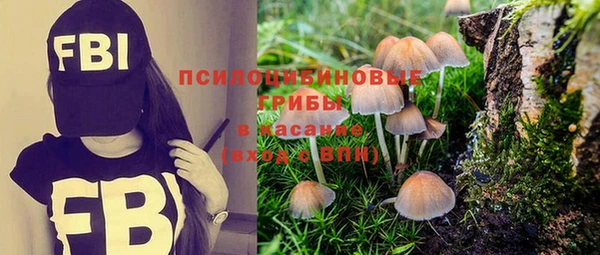 соль курить ск Верея