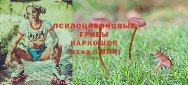 mdma Верхний Тагил